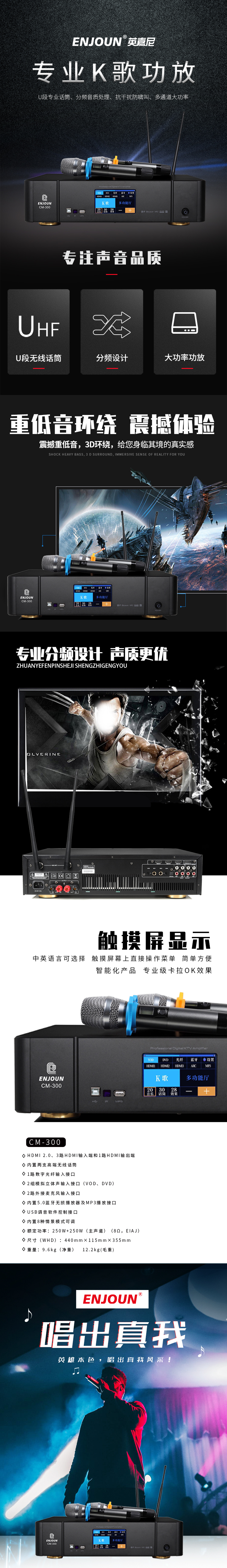 專業(yè)K歌功放CM-300